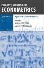 18.Palgrave-Handbook-of-Econometrics